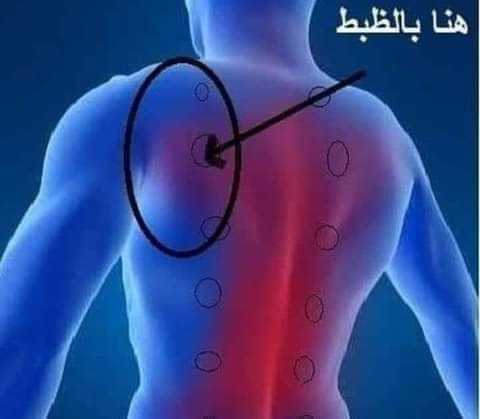 الأبهر الوتاب ماذا تعرف عنه ؟؟