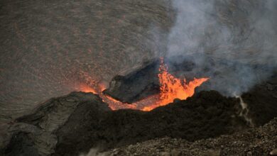 جزيرة هاواي