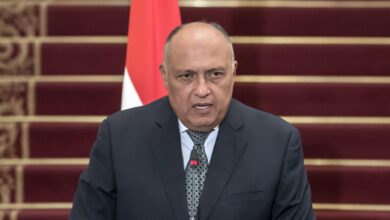 سامح شكري