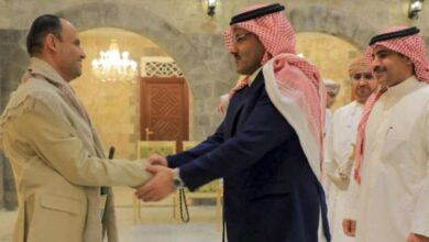 مهدي المشاط