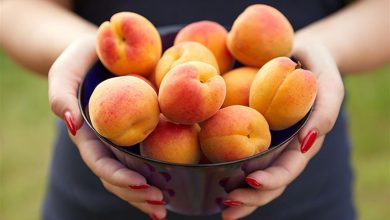 هل تعلم فوائد المشمش الصحيّة والجمالية؟