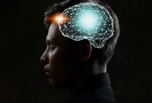 التأمل المكثف يُعيد تنظيم الدماغ والمناعة