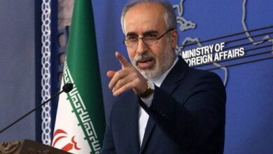كنعاني: جرائم الحرب الصهيونية لا تقل عن هذه الفضيحة.!