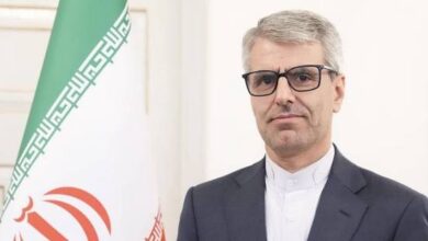 المتحدث باسم الخارجية الإيرانية