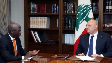 عون: الحكومة ماضية في الإصلاحات بالتعاون مع مجلس النواب