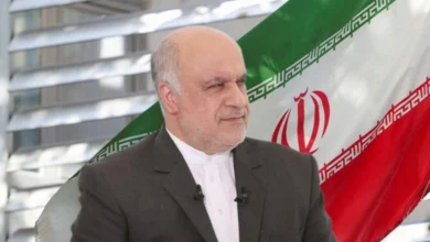 أماني: زيارة لاريجاني ستصبّ في مصلحة لبنان وإيران 