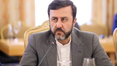 آبادي يرد على انحياز مسؤول دولي لكيان الاحتلال