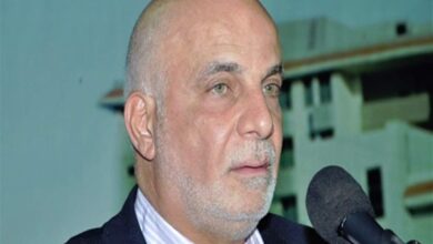 خريس: المطلوب قرارات جريئة تحمي حقوق لبنان
