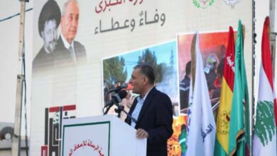 الفوعاني: الجنوب يستحق كل الحماية والرعاية