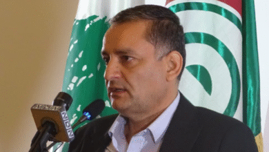 الفوعاني: لإعادة إعمار ما دمّره العدوان الإسرائيلي