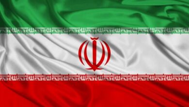 خرازي: الطاقة النووية ضرورة استراتيجية وطنية