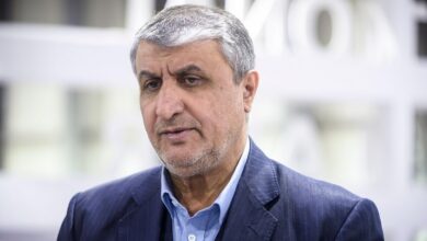 إيران: إنشاء 8 محطات نووية جديدة بالتعاون مع روسيا