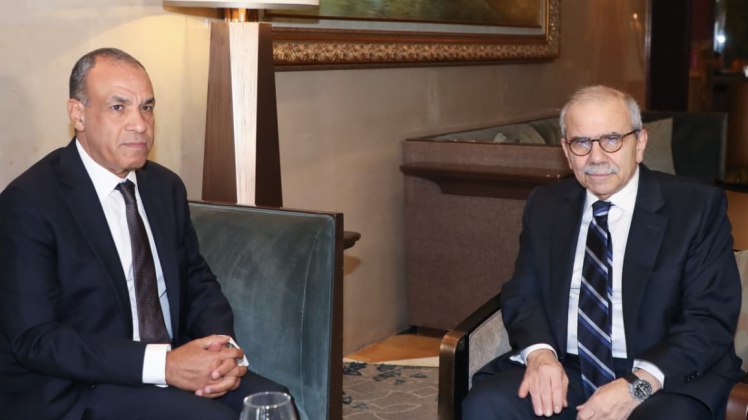 سلام التقى وزير الخارجية المصري في القاهرة