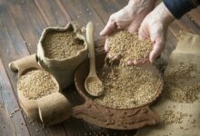 أسعار القمح تواصل ارتفاعها في الأسواق العالمية