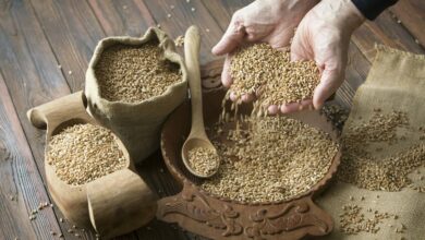 أسعار القمح تواصل ارتفاعها في الأسواق العالمية