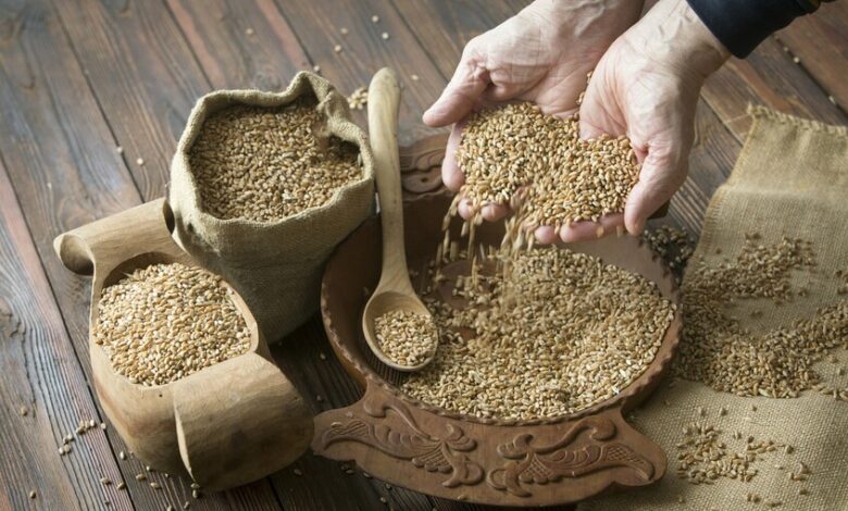أسعار القمح تواصل ارتفاعها في الأسواق العالمية