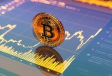 العملة المشفرة تفقد نصف قيمتها وسط جمود السوق