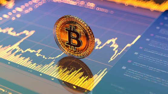 العملة المشفرة تفقد نصف قيمتها وسط جمود السوق