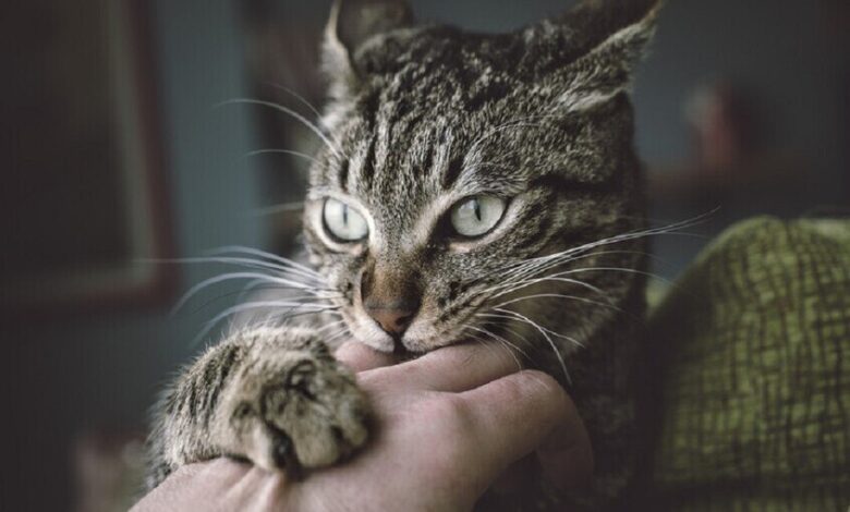 اكتشاف جيني يقرّب علاج السرطان