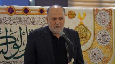 النائب علي عمّار: نمر في مرحلة شديدة الحساسية والخطورة