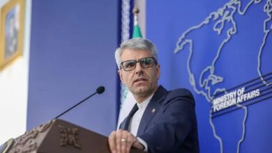 بقائي لألمانيا: من السخافة مطالبة الضحية بإنهاء الحرب