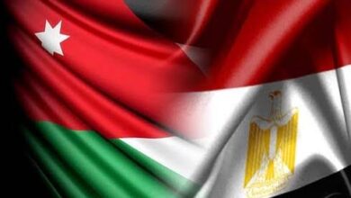 مصر تدعو لتشكيل قوة عربية مشتركة لصون الأمن القومي