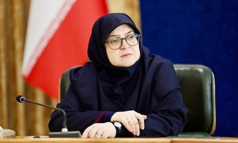 مهاجراني: الروح الوطنية تصاعدت اثر الحرب المفروضة الثالثة