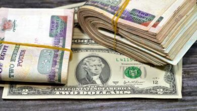 سعر الدولار في مصر يسجل تراجعاً جديداً