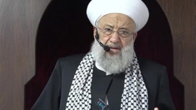 حمود: "ولاية الفقيه لا تُنقص من لبنانية المقاومة"