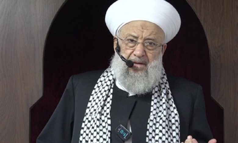 حمود: "ولاية الفقيه لا تُنقص من لبنانية المقاومة"