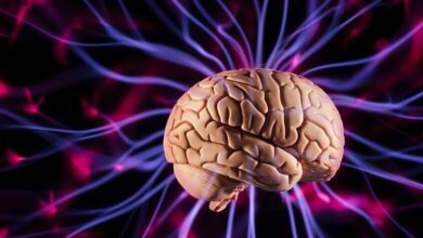 دماغ الأطفال يحدد مركز اللغة في سن مبكرة