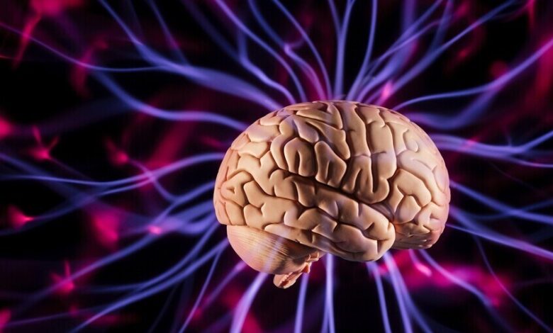 دماغ الأطفال يحدد مركز اللغة في سن مبكرة