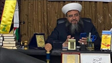 العيلاني يردّ على المشكّكين بانتصار المقاومة