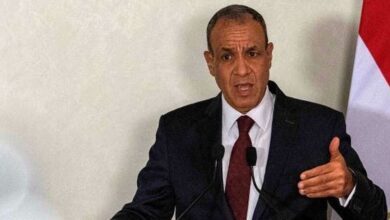 مصر تدعو لخفض التصعيد وحماية حركة الملاحة الدولية