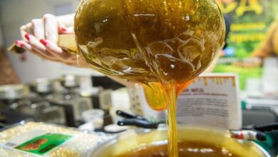 تحذيرات طبية من مخاطر الحساسية المرتبطة بالعسل