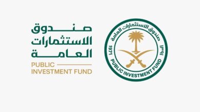 نتائج قياسية بتقرير صندوق الاستثمارات العامة لعام 2025