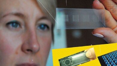 رقاقة روسية جديدة لتقدير خطر ألزهايمر وراثياً