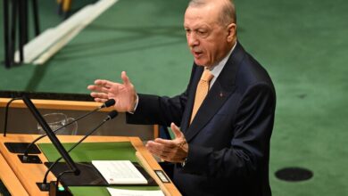 أردوغان: تركيا تتمسك بدعم فلسطين في الأمم المتحدة