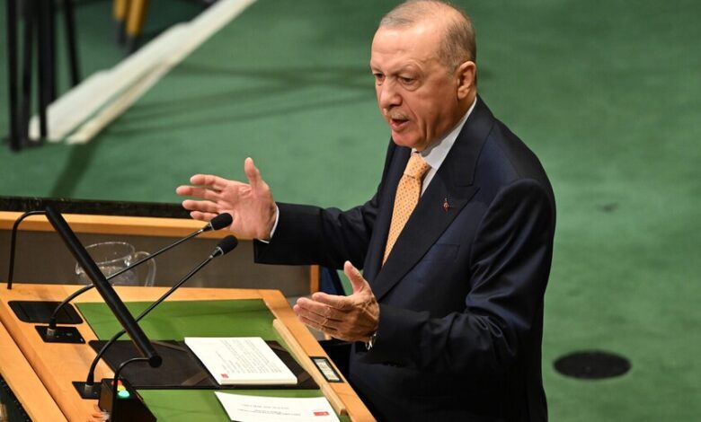 أردوغان: تركيا تتمسك بدعم فلسطين في الأمم المتحدة