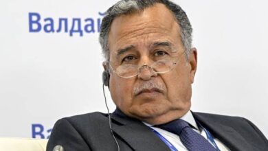 فهمي يطالب إيران باحترام سيادة الدول العربية