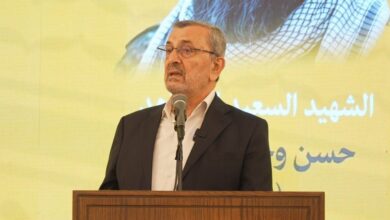 عز الدين: السلطة اللبنانية شريكة بدماء الجنوب