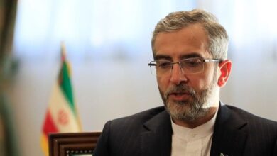 باقري يعلن عن اجتماع أمني مرتقب في طهران بمشاركة السعودية وباكستان وتركيا