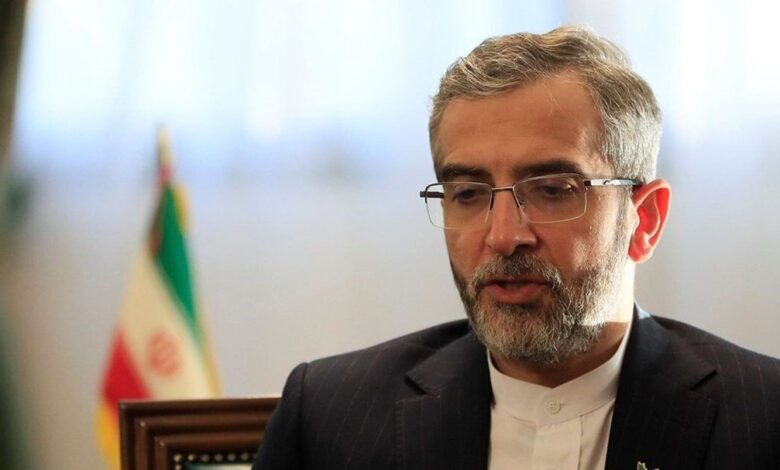 باقري يعلن عن اجتماع أمني مرتقب في طهران بمشاركة السعودية وباكستان وتركيا