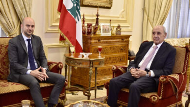 بري يحذّر من فراغ دولي في جنوب لبنان